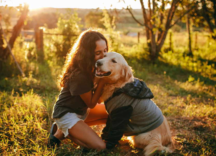 Dog Friendly Co.